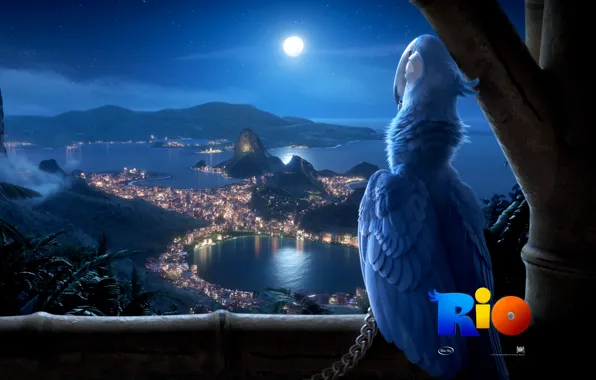 Картинка птица, Рио, Мультфильм, вид на Рио-де-Жанейро