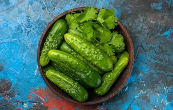 Миска, петрушка, голубой фон, свежие, огурцы