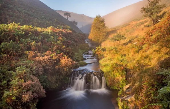 Лес, пейзаж, природа, река, водопад
