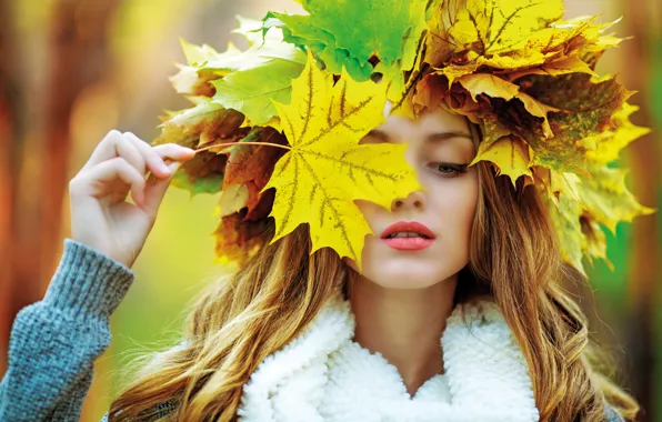 Картинка осень, девушка, клён, girl, woman, autumn, leaves, fall