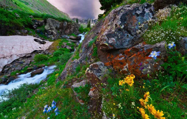 Пейзаж, горы, природа, ручей, камни, растительность, США, Нью-Мексико