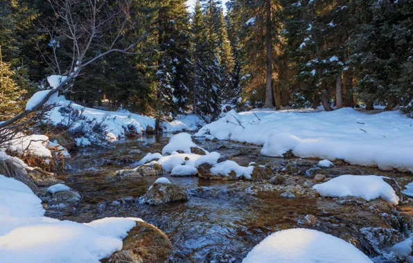 Картинка зима, лес, снег, ручей, фото