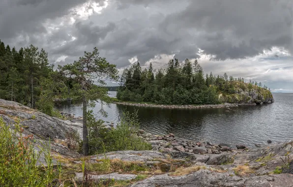 Картинка природа, река, остров