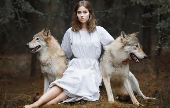 Картинка девушка, волки, Светлана Никотина