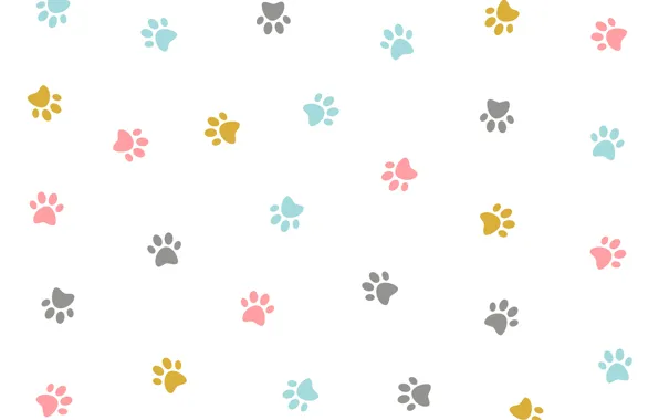 Картинка текстура, colorful, белый фон, design, kitten, pattern