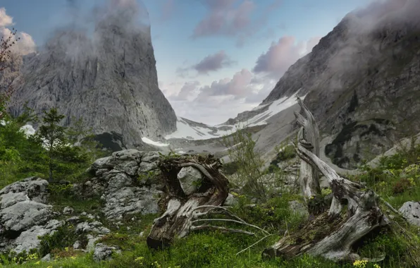 Картинка трава, горы, камни, Австрия, Альпы, коряги