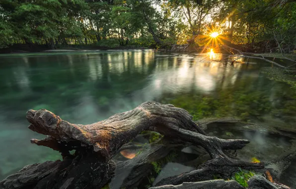 Солнце, свет, река, утро, джунгли