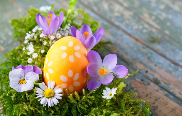 Картинка цветы, яйца, весна, Пасха, flowers, spring, Easter, eggs