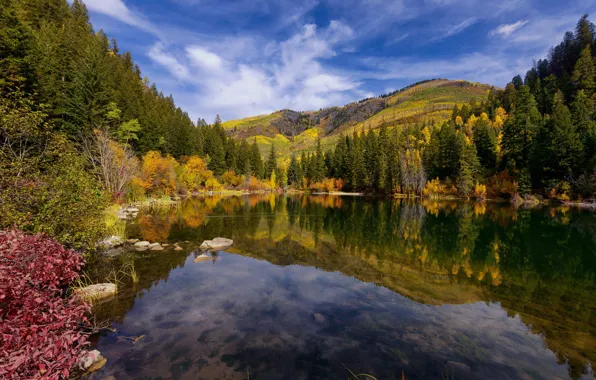 Осень, лес, горы, озеро, отражение, Колорадо, Colorado, Lizard Lake