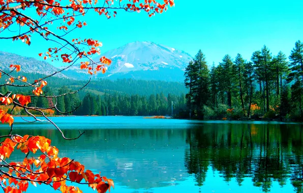 Картинка осень, небо, листья, деревья, горы, озеро, цвет