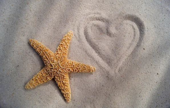 Песок, рисунок, сердечко, Морская звезда