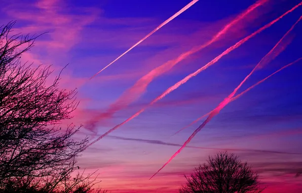 Картинка небо, закат, дерево, след, вечер, силуэт, метеорит