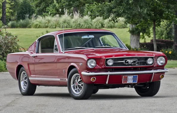 Red, Ford Mustang, Fastback, 1966, Muscle car