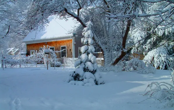 Картинка зима, небо, снег, пейзаж, природа, house, white, sky