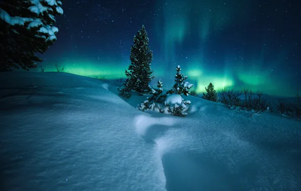 Картинка зима, снег, деревья, ночь, северное сияние, Норвегия, сугробы, Norway