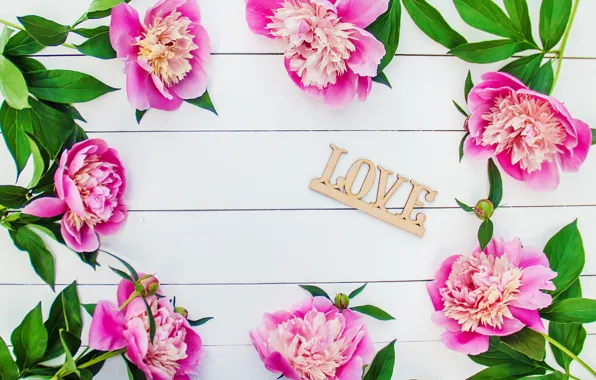 Цветы, love, розовые, wood, pink, flowers, beautiful, romantic