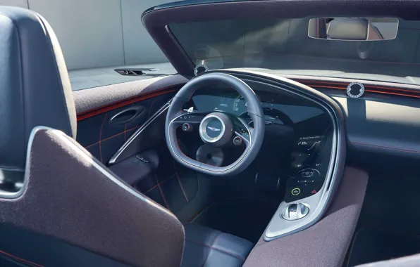 Concept, Convertible, Genesis X