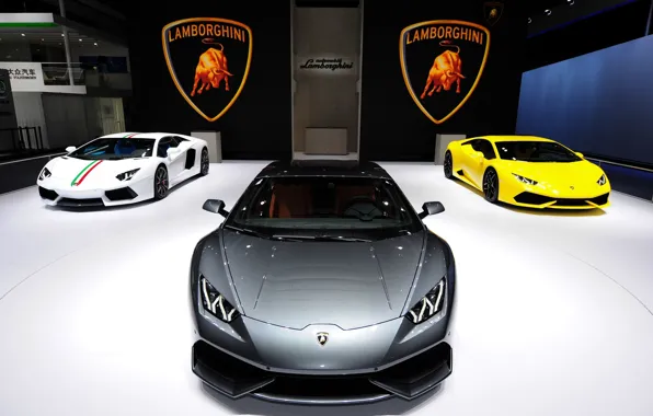 Lamborghini, gallardo, tuning, lambo, aventador, murcelago, huracan