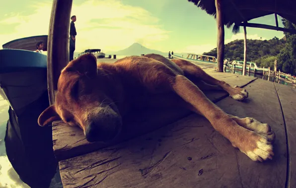 Картинка пейзаж, люди, лодка, собака, пес, спит, лежит, Гуатемала