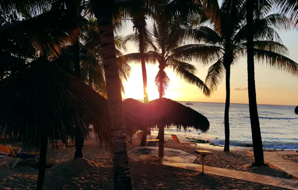 Пляж, пальмы, океан, экзотика, beach, sunset, Доминикана