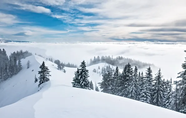 Картинка зима, небо, снег