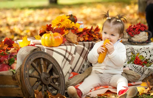 Осень, парк, ребенок, кукуруза, девочка, тыква