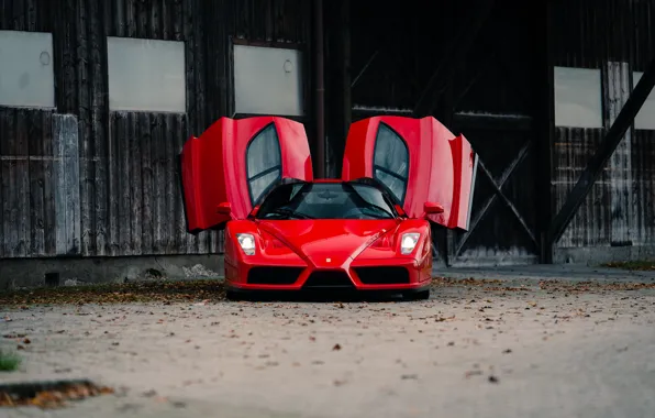 Ferrari, Enzo, Front, RED, Face, Doors