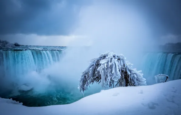 Картинка зима, снег, дерево, водопад, Ниагарский водопад, Niagara Falls