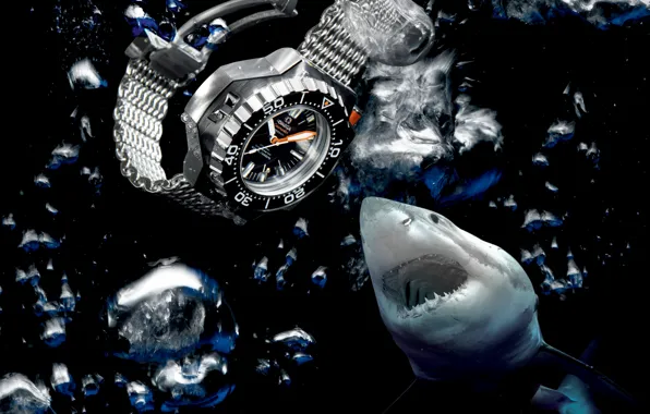 Картинка вода, акула, Часы, Omega, Seamaster, 1200M, Ploprof