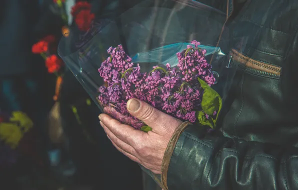 Цветы, день победы, 9 мая, гвоздики