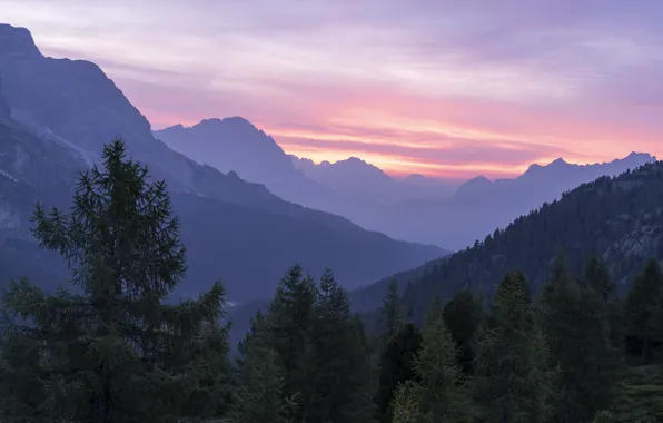 Небо, облака, деревья, закат, горы, скалы, вечер