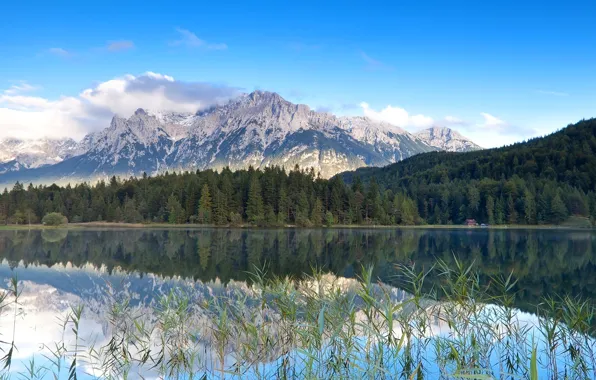 Лес, небо, трава, вода, облака, деревья, горы, озеро