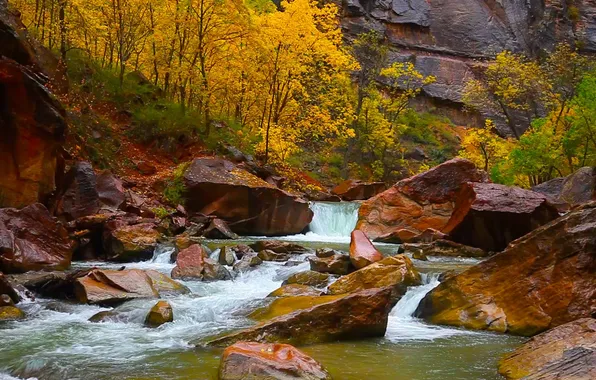 Картинка осень, деревья, камни, скалы, Юта, США, Сион Каньон, река Девы
