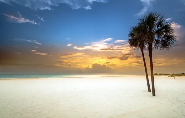 Картинка песок, белый, пляж, закат, пальмы, залив
