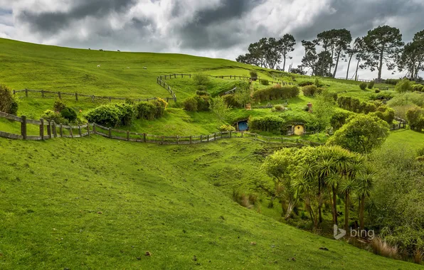 Трава, деревья, забор, склон, Новая Зеландия, Северный остров, Матамат
