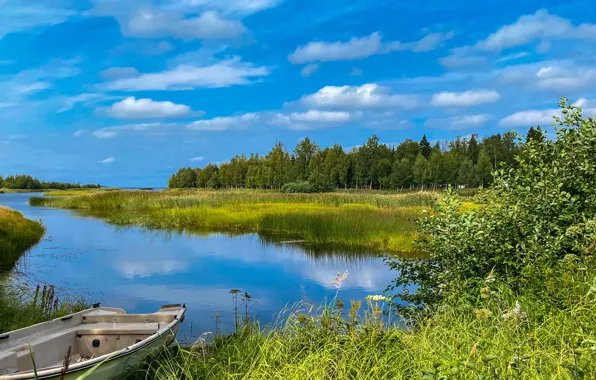 Картинка лето, небо, деревья, река, лодка, камыш, Финляндия, Finland