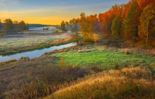 Картинка осень, деревья, туман, река, рассвет