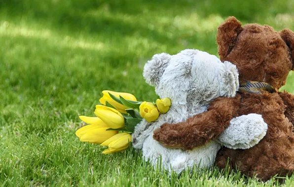 Любовь, мишка, пара, love, друзья, тедди, flowers, romantic