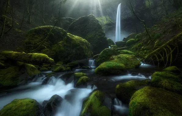 Картинка ручей, камни, водопад, мох, Орегон, Oregon, Columbia River Gorge, Elowah Falls