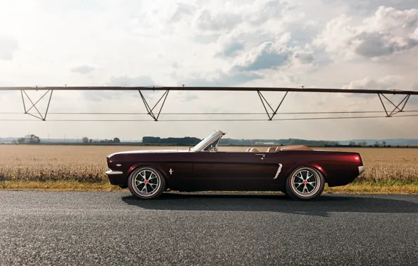 Ringbrothers, 1965 Ford Mustang Convertible, Ford Mustang Uncaged, side view, Mustang, Ford