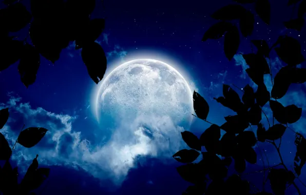 Night, cloud, moonlight, silhouette