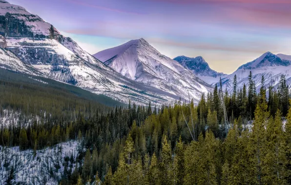 Пейзаж, горы, красота, вечер