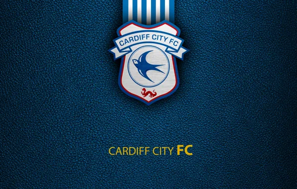 Wallpaper, sport, logo, football, English Premier League, Cardiff City