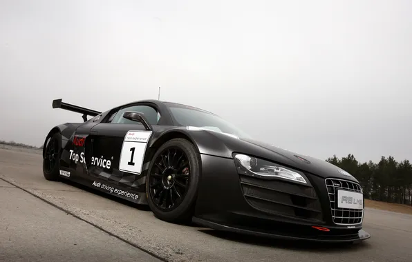 Audi, LMS, Audi Motorsport