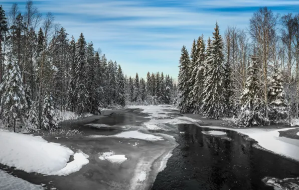 Картинка зима, лес, река, Winter, river