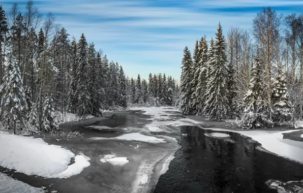 Зима, лес, река, Winter, river
