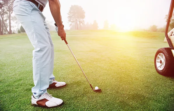 Картинка grass, golf, golf club, golfer, white ball