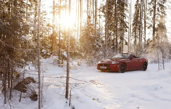 Картинка зима, лес, солнце, снег, красный, Jaguar, ягуар, кабриолет