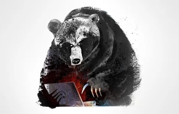 Картинка отражение, обои, атака, лапа, Мишка, Медведь, wallpaper, ноутбук