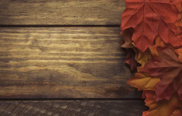 Картинка осень, листья, фон, доски, colorful, red, клен, wood